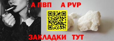 стаф Кунгур