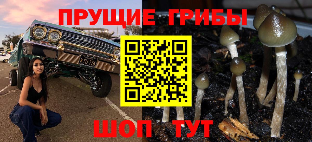 Псилоцибиновые грибы Magic Shrooms  Вход с VPN  Калининград  Галлюциногенные грибы прущие грибы 
