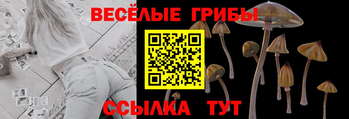 Галлюциногенные грибы MAGIC MUSHROOMS Калининград
